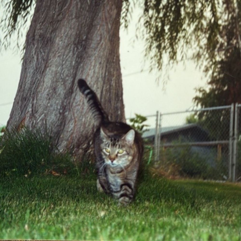 Meet your Posher, RASCAL - Picture 11 of 15